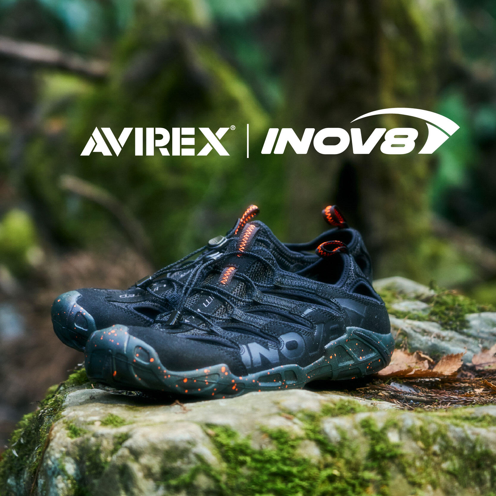 ＜美品車＞人気のAVIREX（アヴィレックス）セミファットバイク 美品車＞人気のAVIREX（アヴィレックス）セミファットバイク 【公式通販】